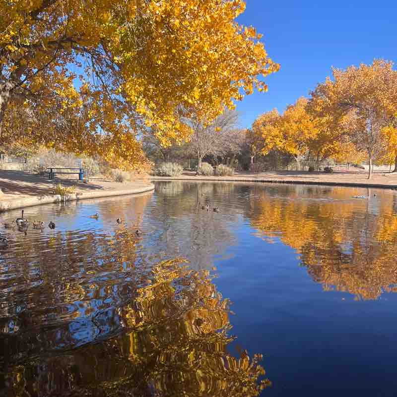 Tayler Murphy post 1