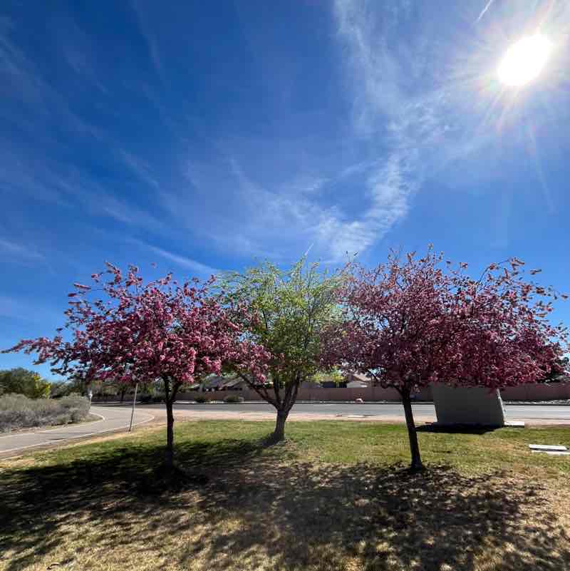 Tayler Murphy post 1