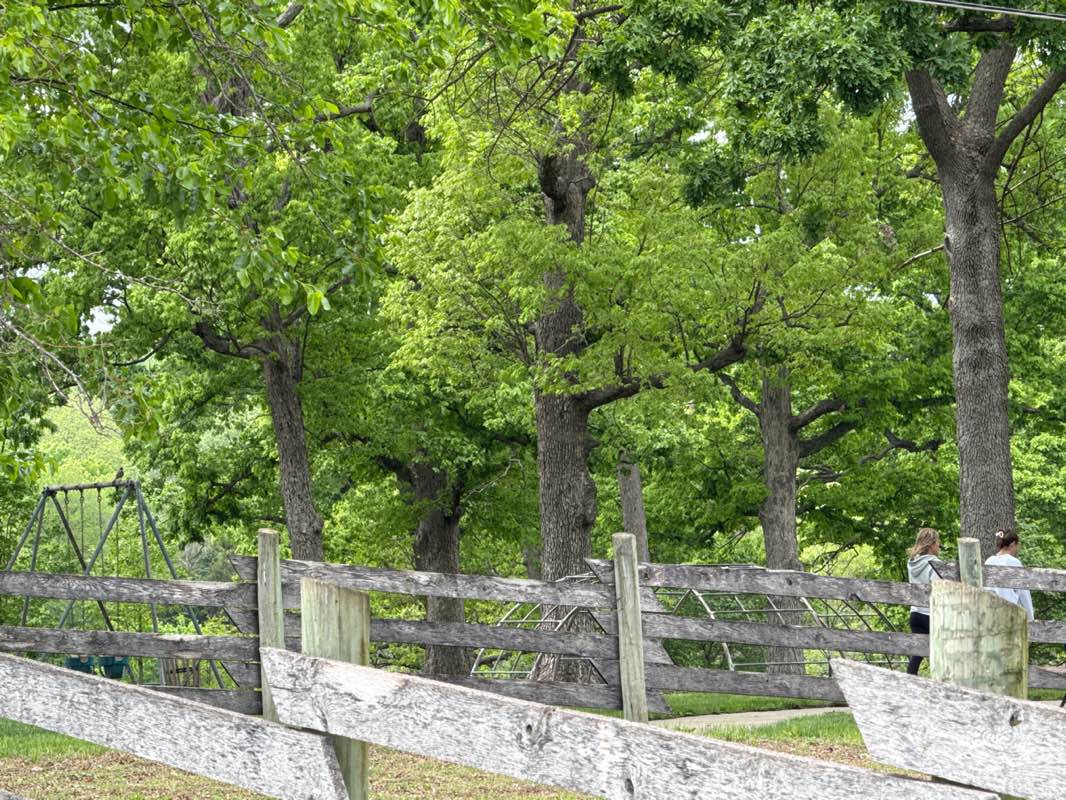 walking near me in Niekamp Park in spring