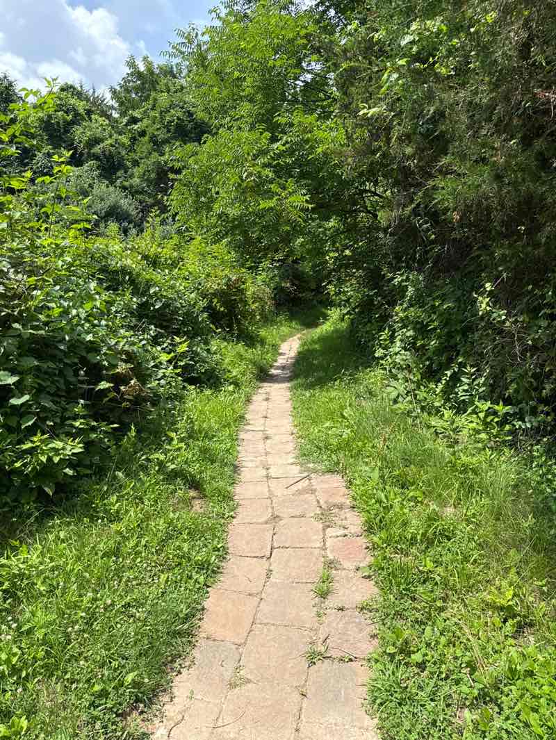 walking near me in West Edgewood Park in summer
