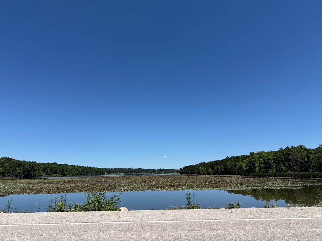 walking near me in Binder Park in summer
