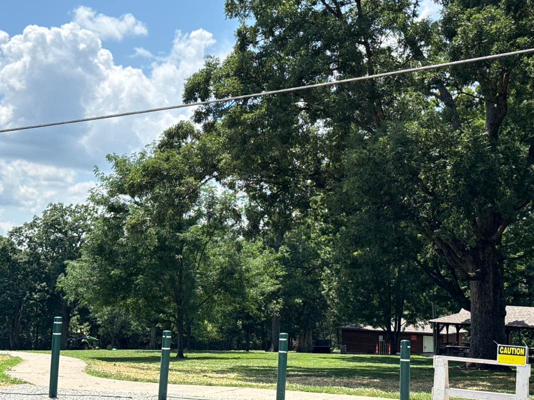walking near me in Niekamp Park in summer