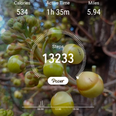 10K Steps Club- Consistency 💫Manju Khushi💫🙏ಜೈ ಆಂಜನೇಯ🙏 🚩ಧರ್ಮೋ ರಕ್ಷತಿ ರಕ್ಷಿತಃ🚩 🙏 🙏 post image