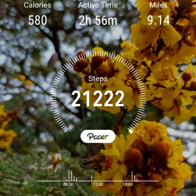 10K Steps Club- Consistency 💫Manju Khushi💫🙏ಜೈ ಆಂಜನೇಯ🙏 🚩ಧರ್ಮೋ ರಕ್ಷತಿ ರಕ್ಷಿತಃ🚩 🙏 🙏 post image