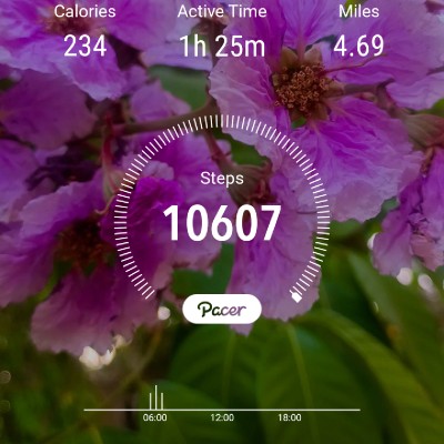 10K Steps Club- Consistency 🇮🇳💫Manju Khushi💫🇮🇳🙏ಜೈ ಆಂಜನೇಯ🙏 🚩ಧರ್ಮೋ ರಕ್ಷತಿ ರಕ್ಷಿತಃ🚩 🙏 🙏 post image