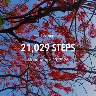 10K Steps Club- Consistency 🇮🇳💫Manju Khushi💫🇮🇳🙏ಜೈ ಆಂಜನೇಯ🙏 🚩ಧರ್ಮೋ ರಕ್ಷತಿ ರಕ್ಷಿತಃ🚩 🙏 🙏 post image