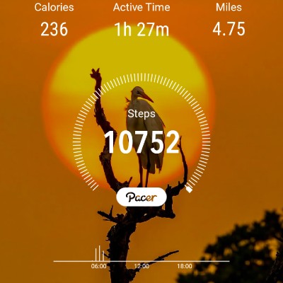 10K Steps Club- Consistency 🇮🇳💫Manju Khushi💫🇮🇳🙏ಜೈ ಆಂಜನೇಯ🙏 🚩ಧರ್ಮೋ ರಕ್ಷತಿ ರಕ್ಷಿತಃ🚩 🙏 🙏 post image