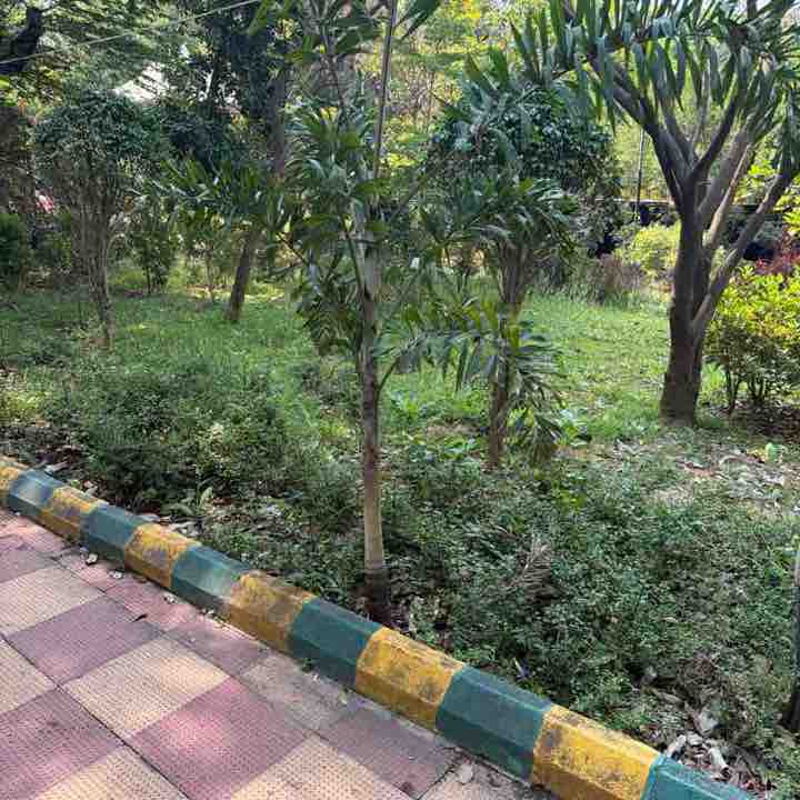 Keshava Murthy post 1