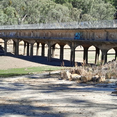 Gypsy NorthenStar post 2