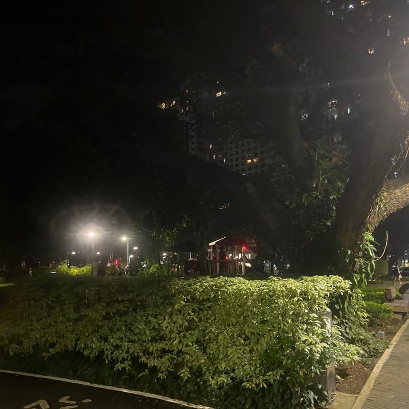 Francis Miguel post 1