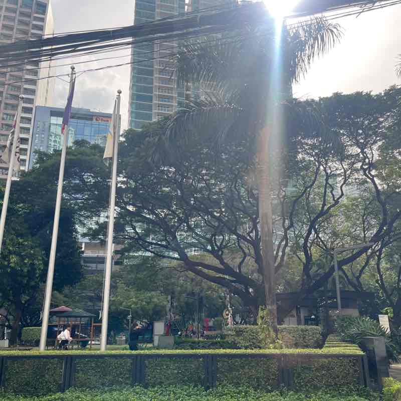 Francis Miguel post 1