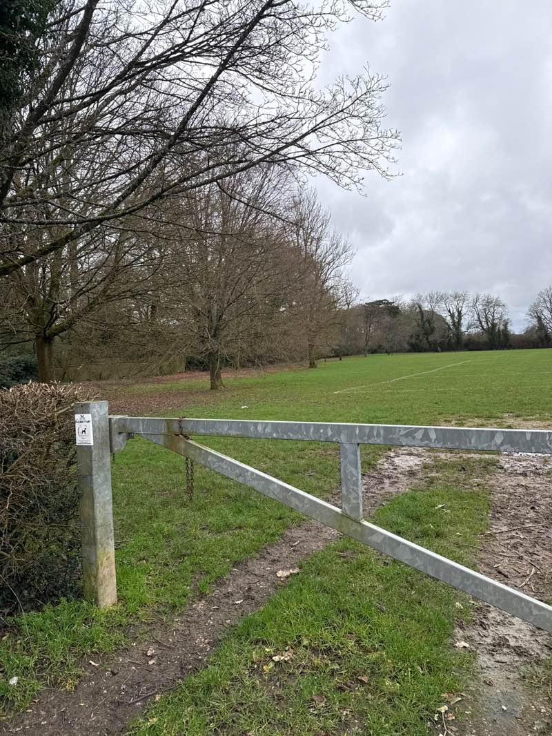 walking near me in Hazlemere Recreation Ground in winter