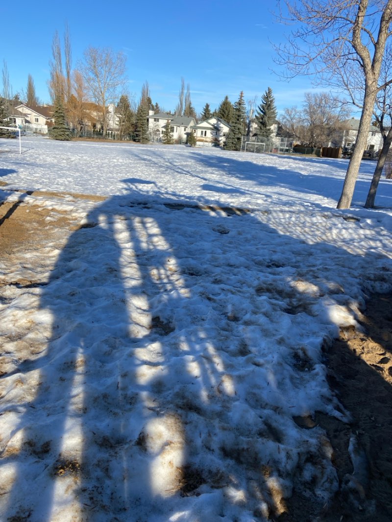 walking near me in Meadowview Park in winter