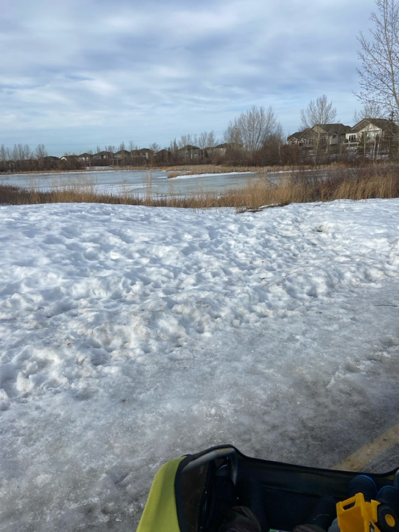 walking near me in Cascade Park in winter