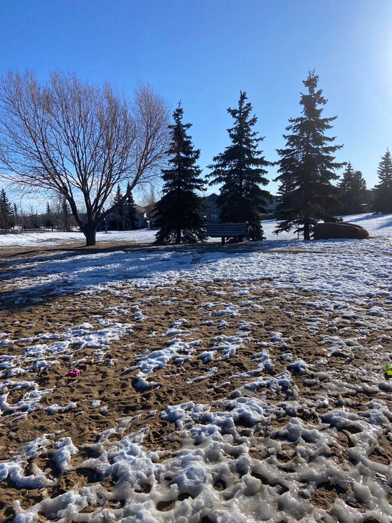 walking near me in Chatwin Park in spring