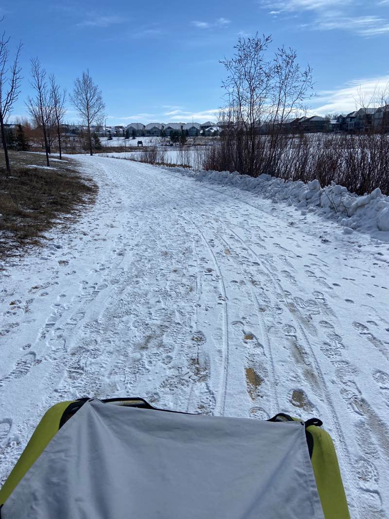 walking near me in Abbey Park in spring