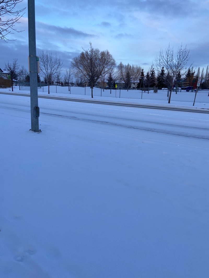 walking near me in Chatwin Park in spring