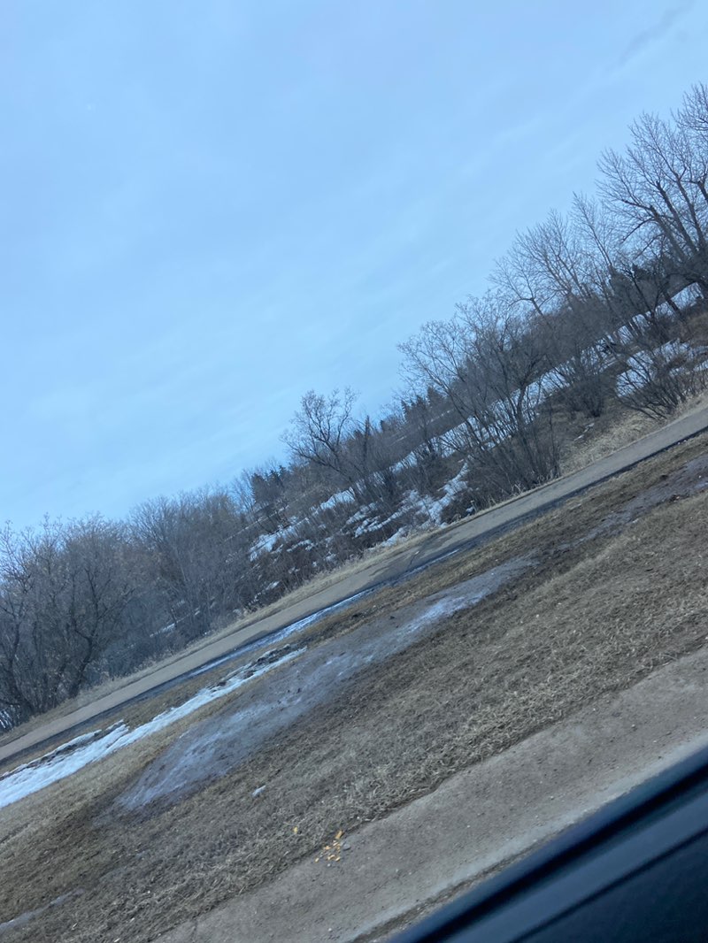 walking near me in Elks/Kinsmen Park in spring