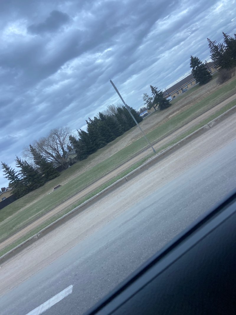 walking near me in Baseline Park in spring