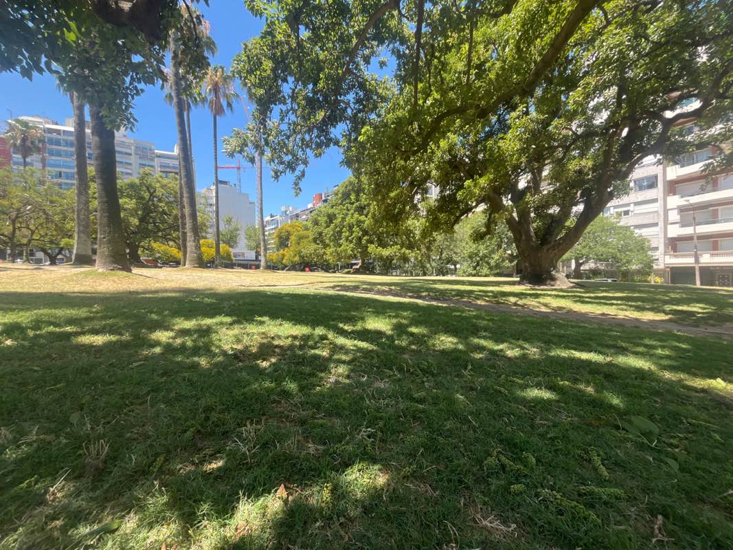 walking near me in Parque Villa Biarritz in summer