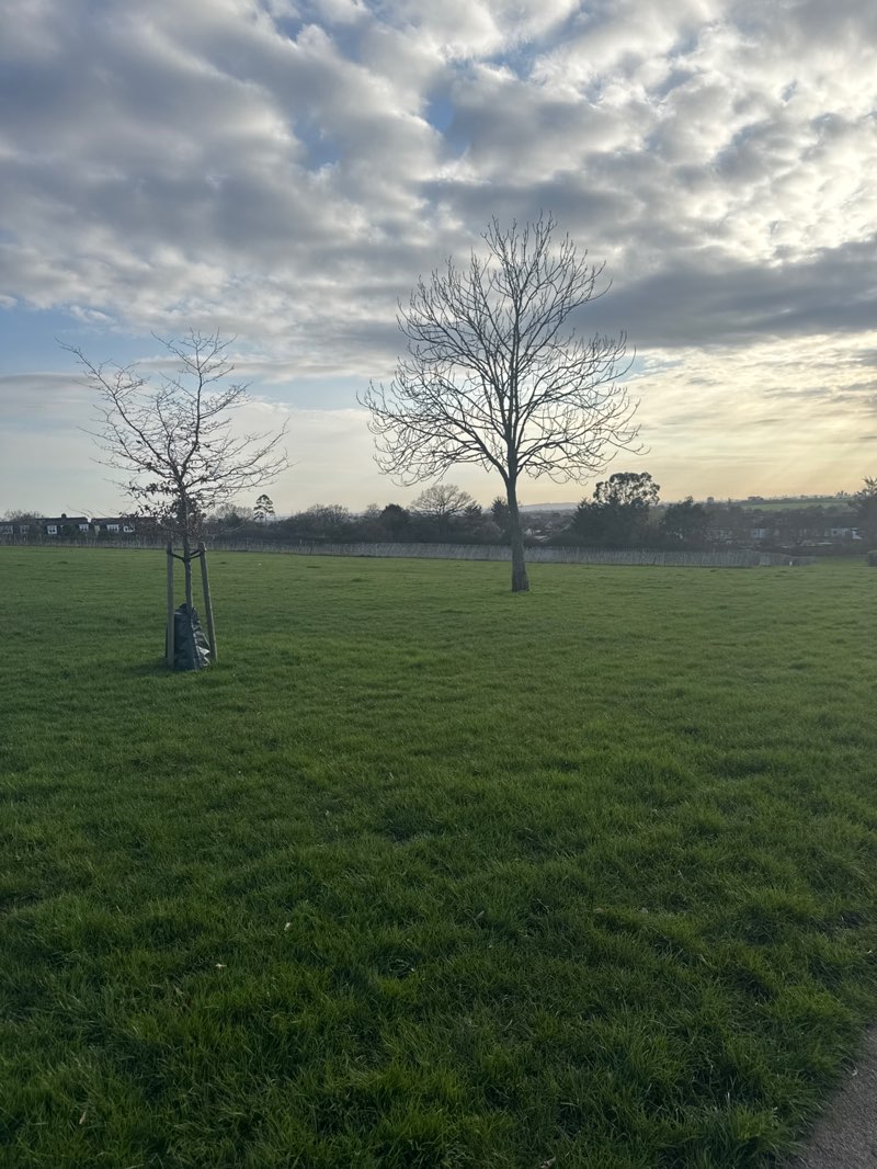 walking near me in Lawns Park in spring
