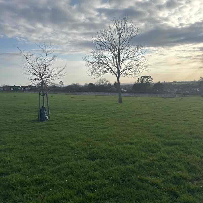 elliemayelsie 🩷🌸🩰✨ post 1