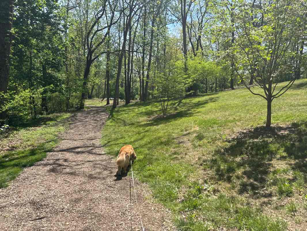 walking near me in Main Street Nature Park in spring