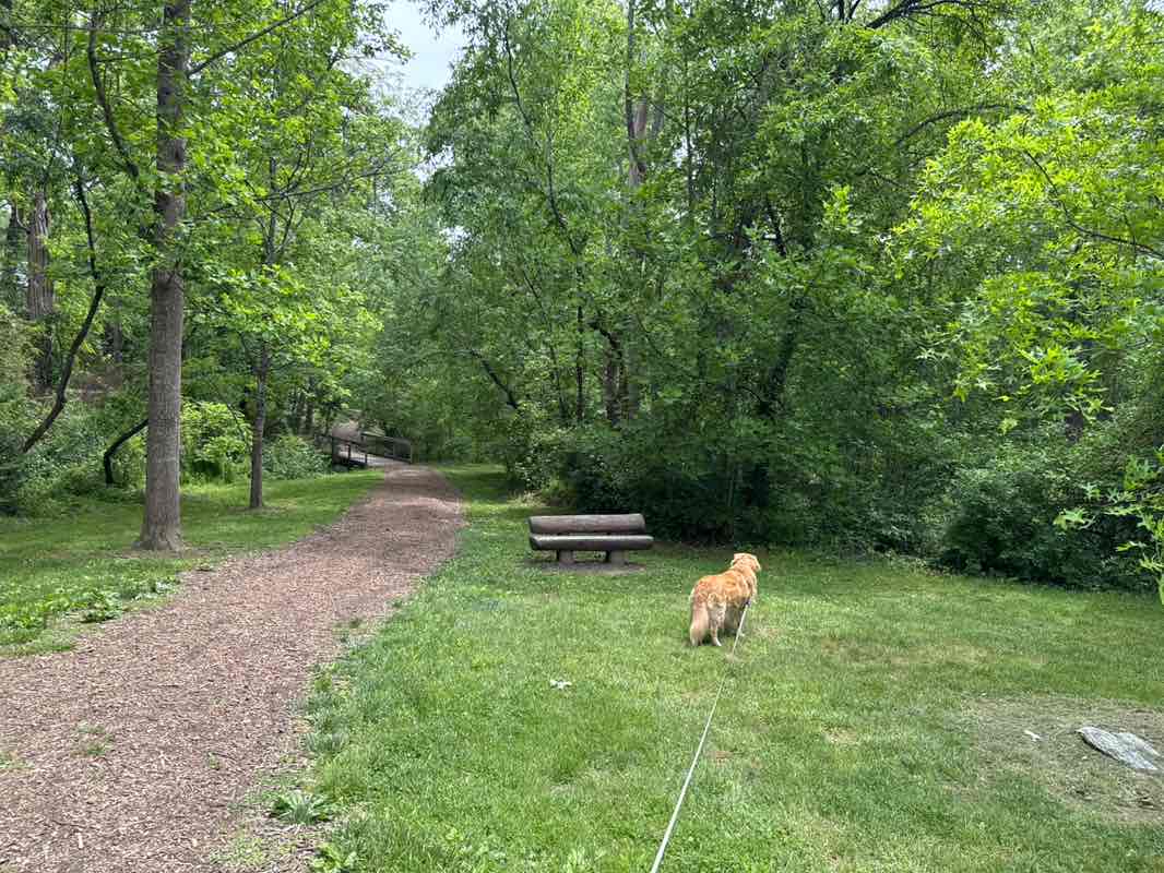 walking near me in Main Street Nature Park in spring