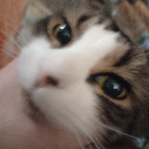 Silver Soldier27 profile