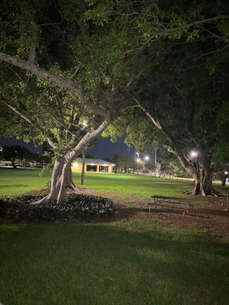 walking near me in Highlands Park in spring