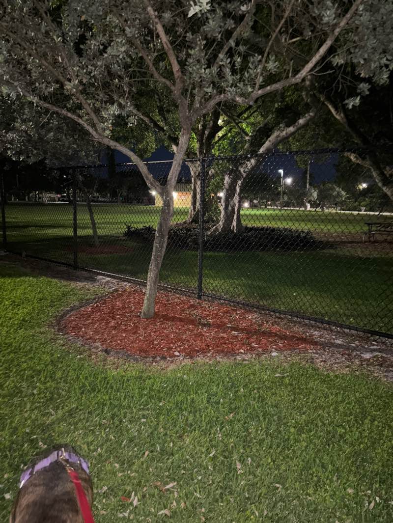 walking near me in Highlands Park in spring