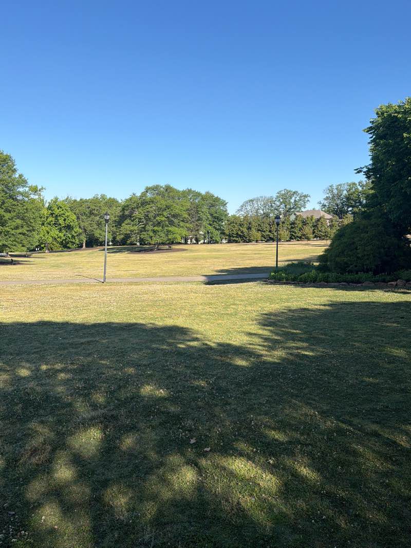 walking near me in Legacy Park in spring