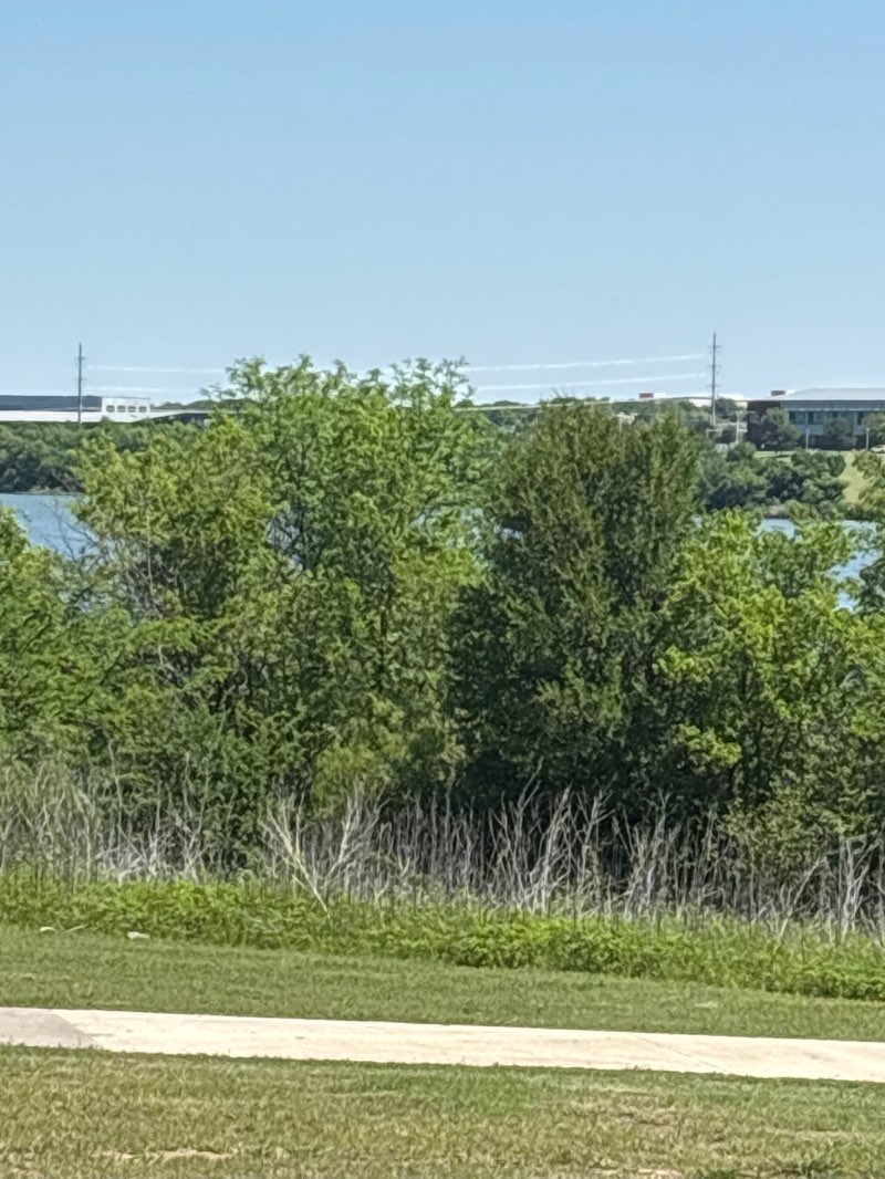 walking near me in Marine Creek Lake Park in spring