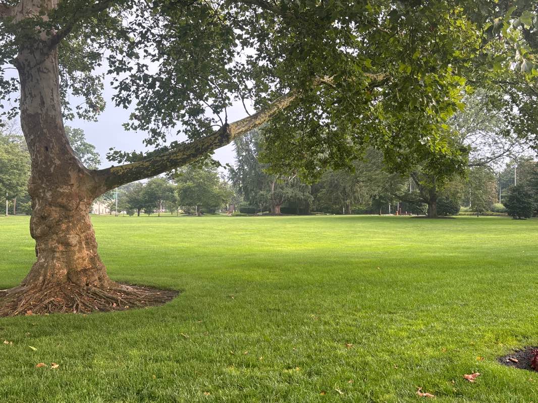 walking near me in University Green in summer