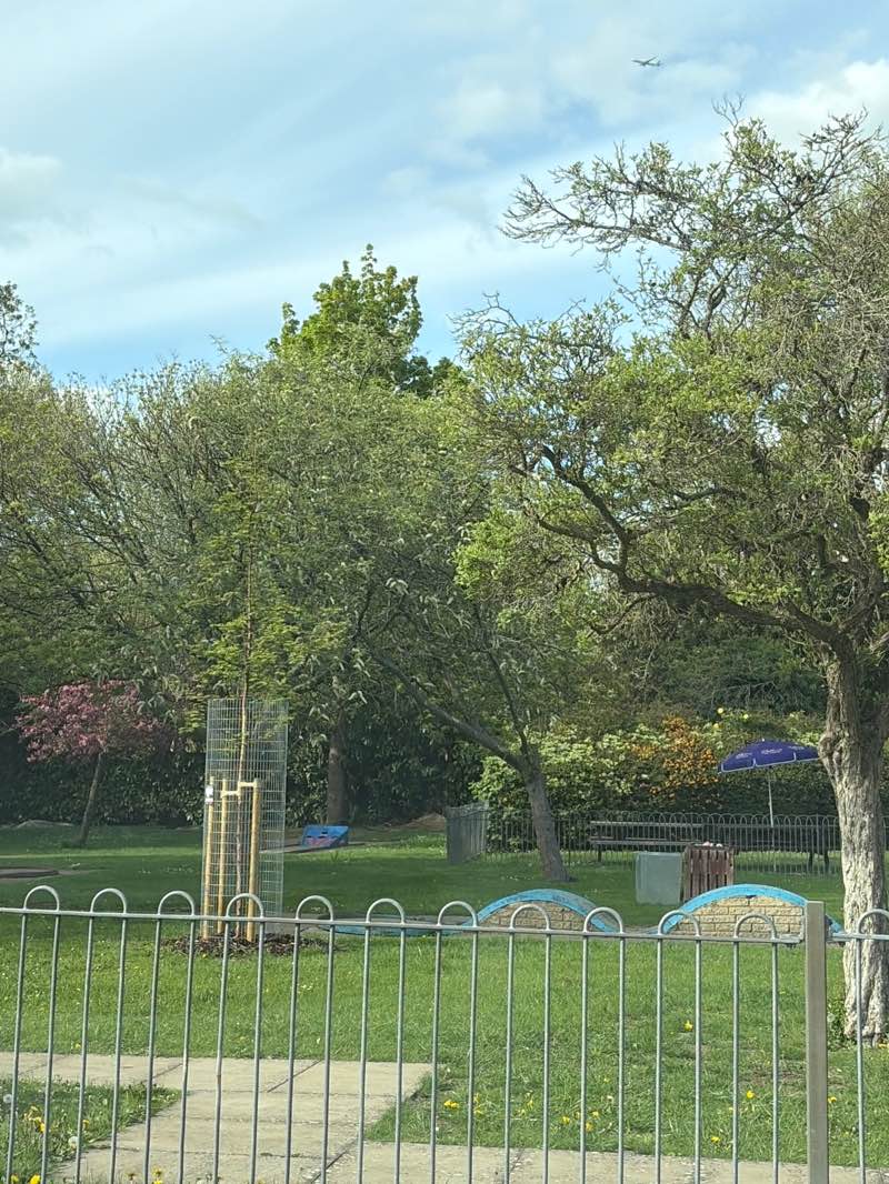 walking near me in Riverside Gardens in spring
