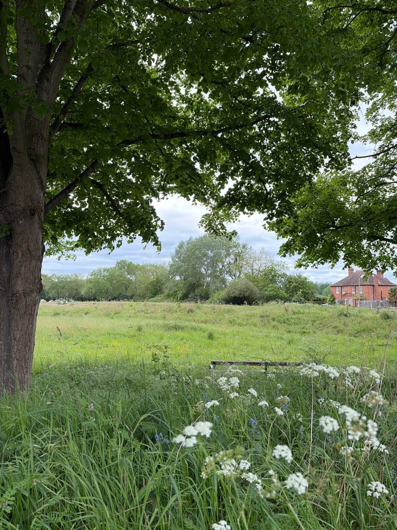 walking near me in Cookham Moor in spring