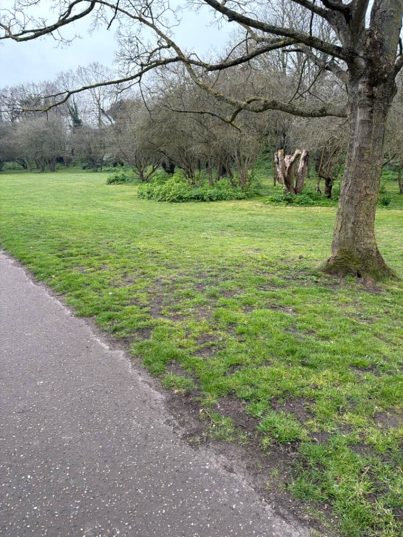 walking near me in Victoria Road Park in spring