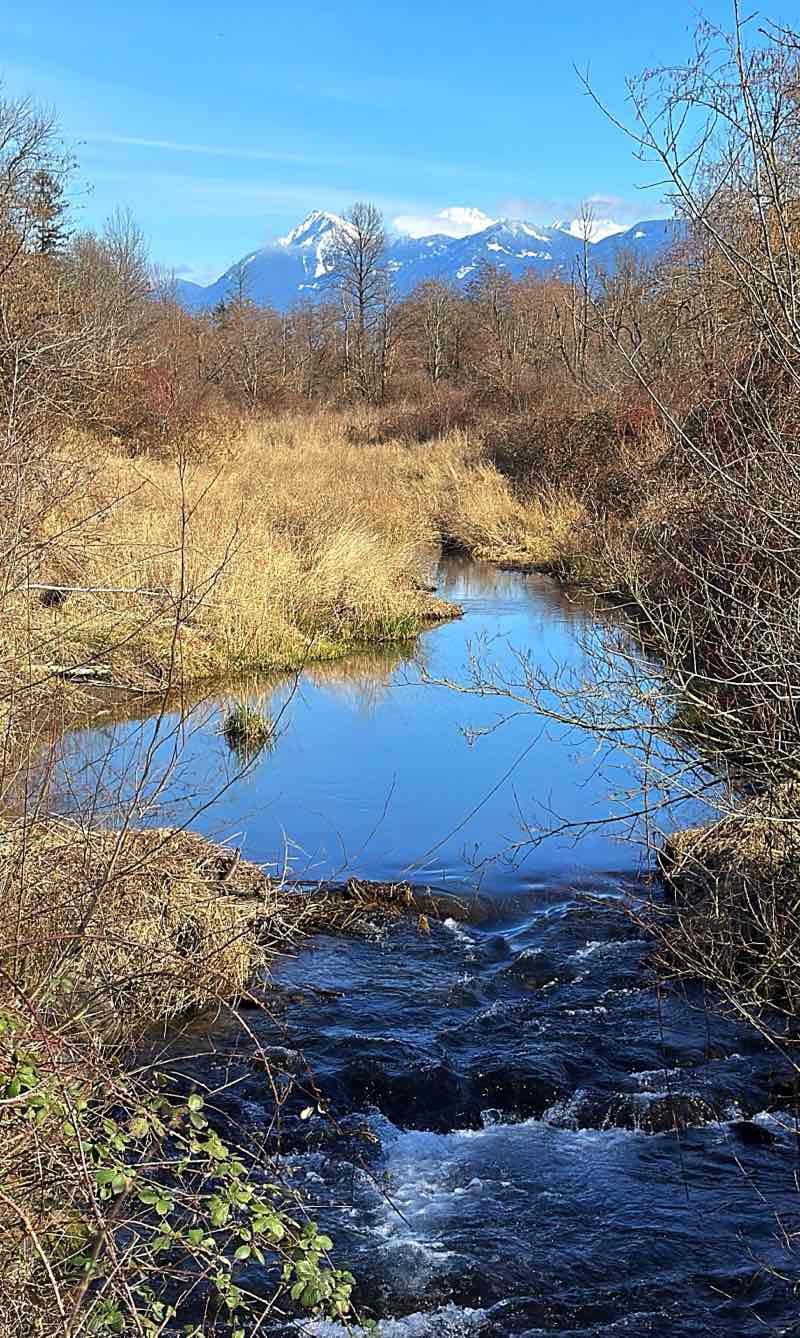 walking near me in Vedder Park in spring