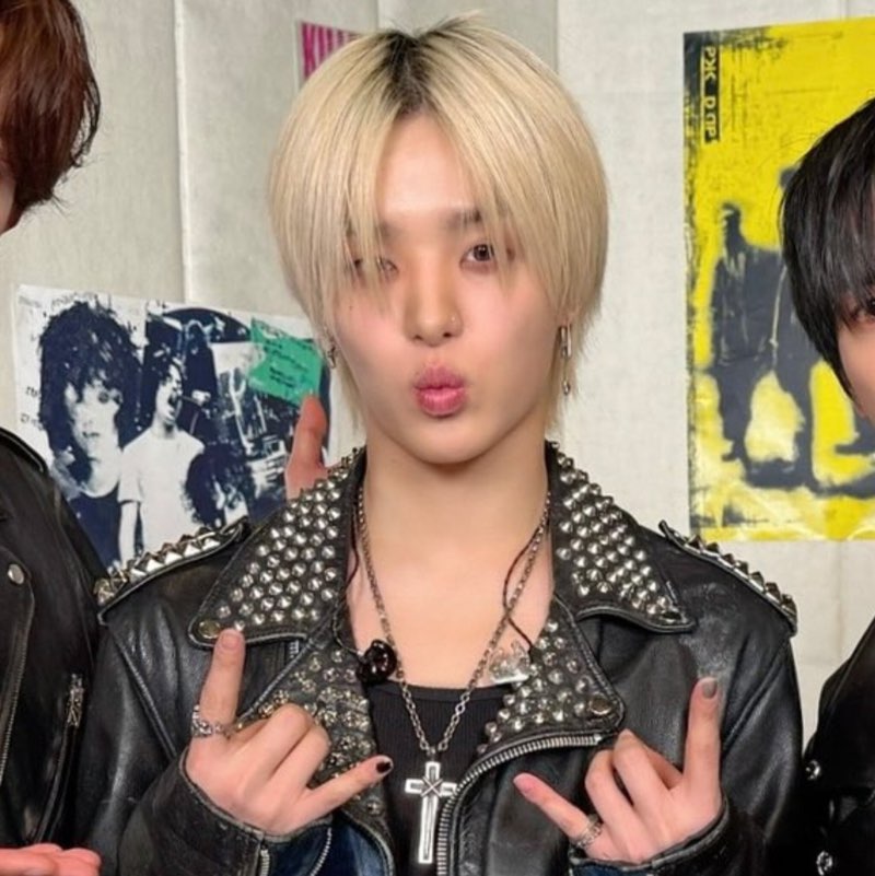 knseereal icon