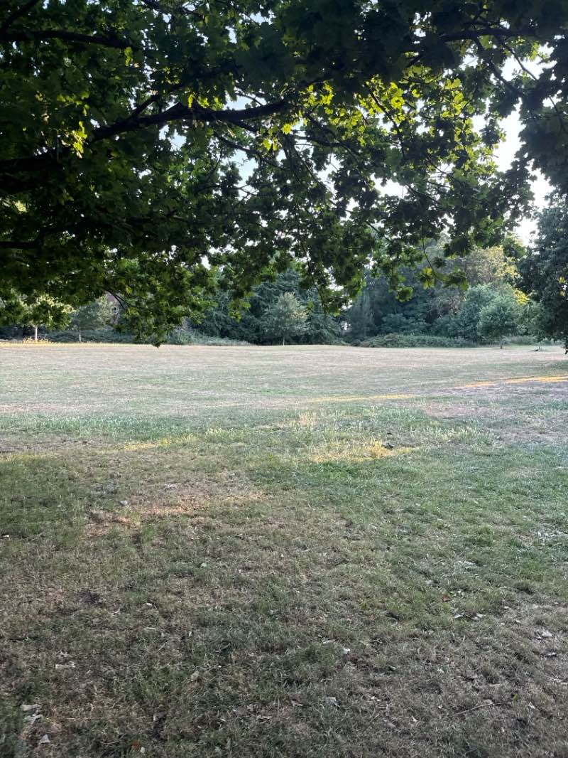 walking near me in Beddington Park in summer
