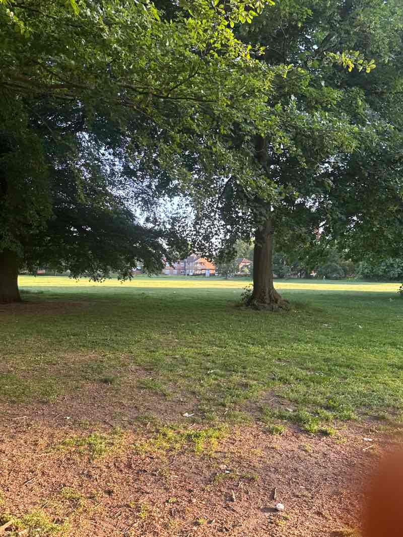walking near me in Beddington Park in summer