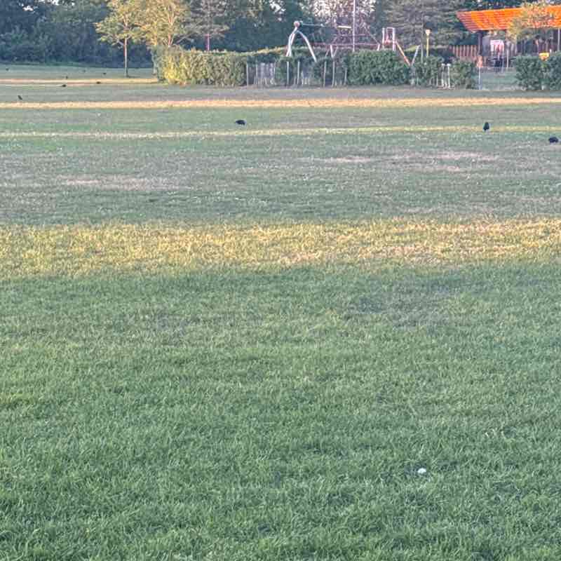 PK post 1