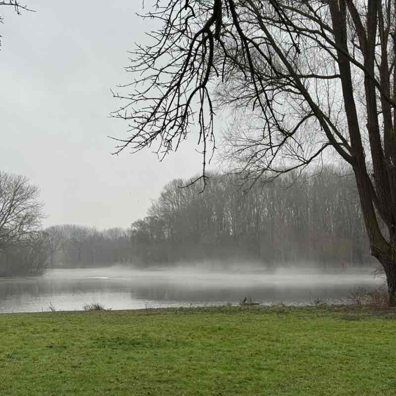 OFSE Digital Footprints Peter 🇳🇱 post image