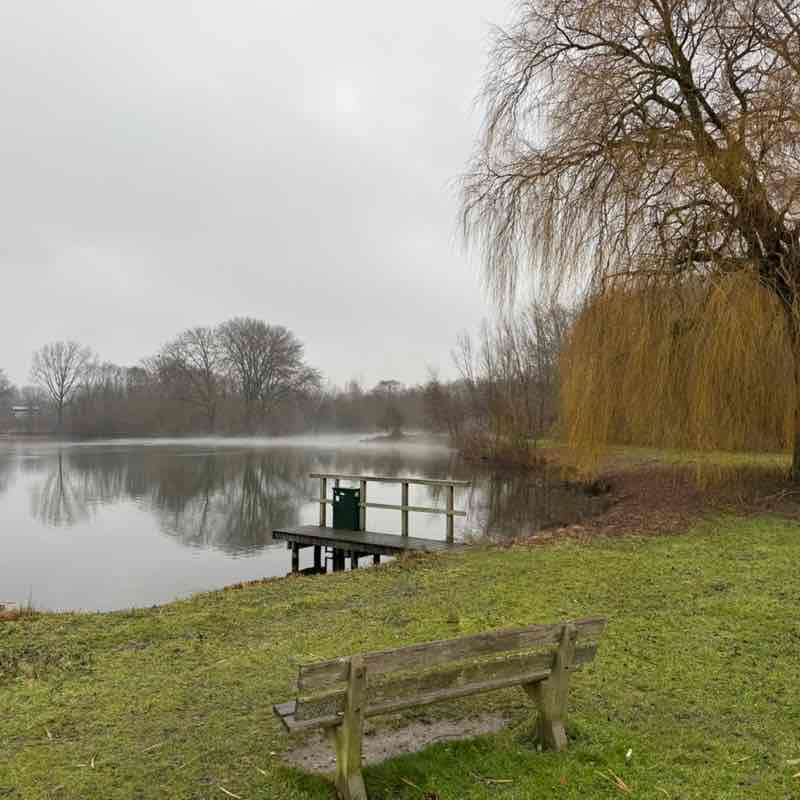 OFSE Digital Footprints Peter 🇳🇱 post image