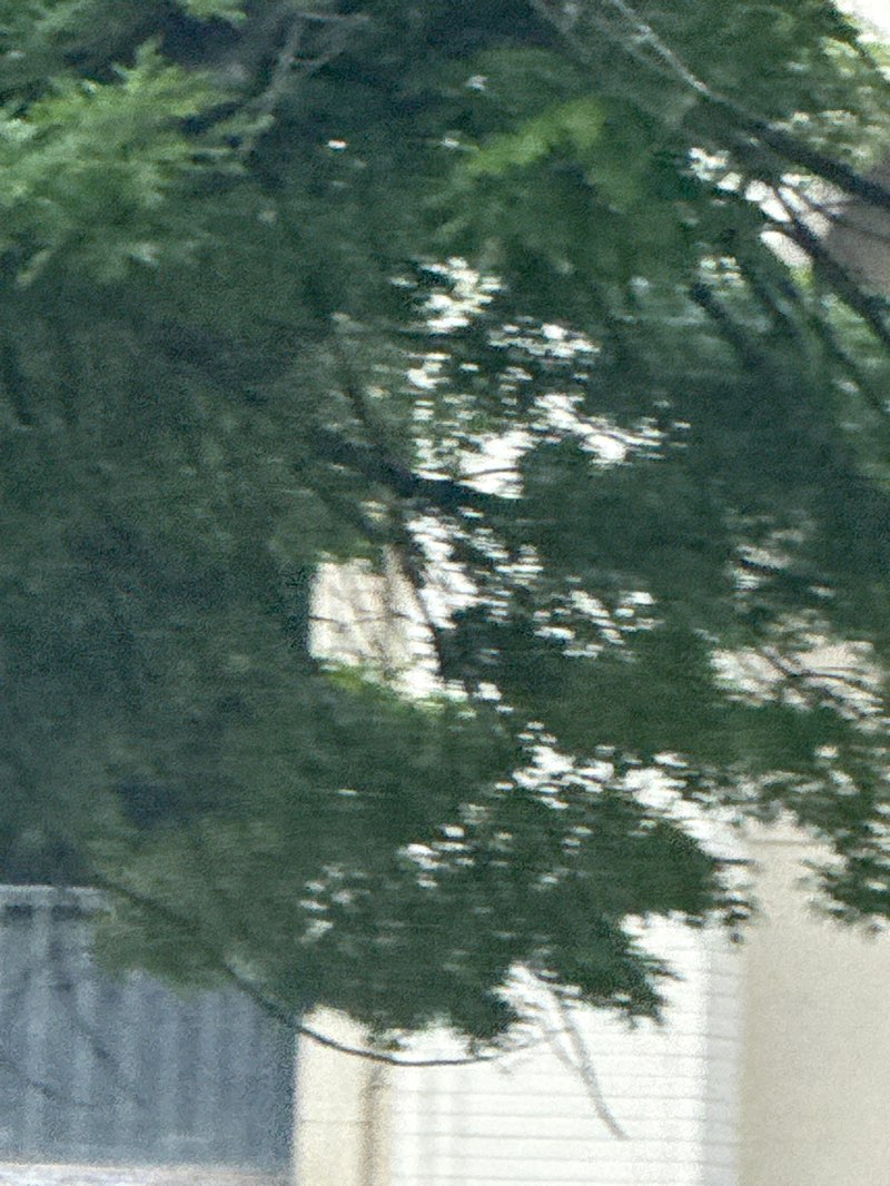 walking near me in Klyde Warren Park in spring