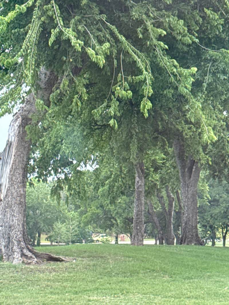 walking near me in Coyote Crossing Neighborhood Park in spring