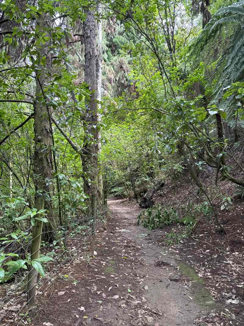 walking near me in Brooklyn Reserve in summer