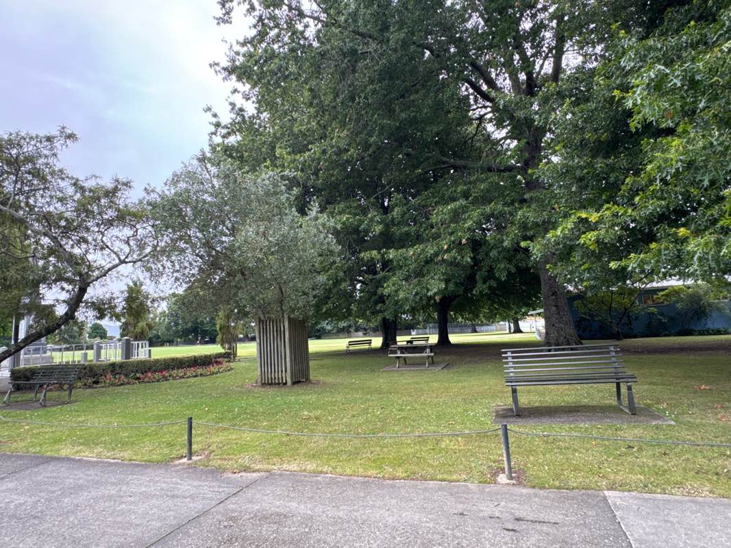 walking near me in Memorial Park in summer