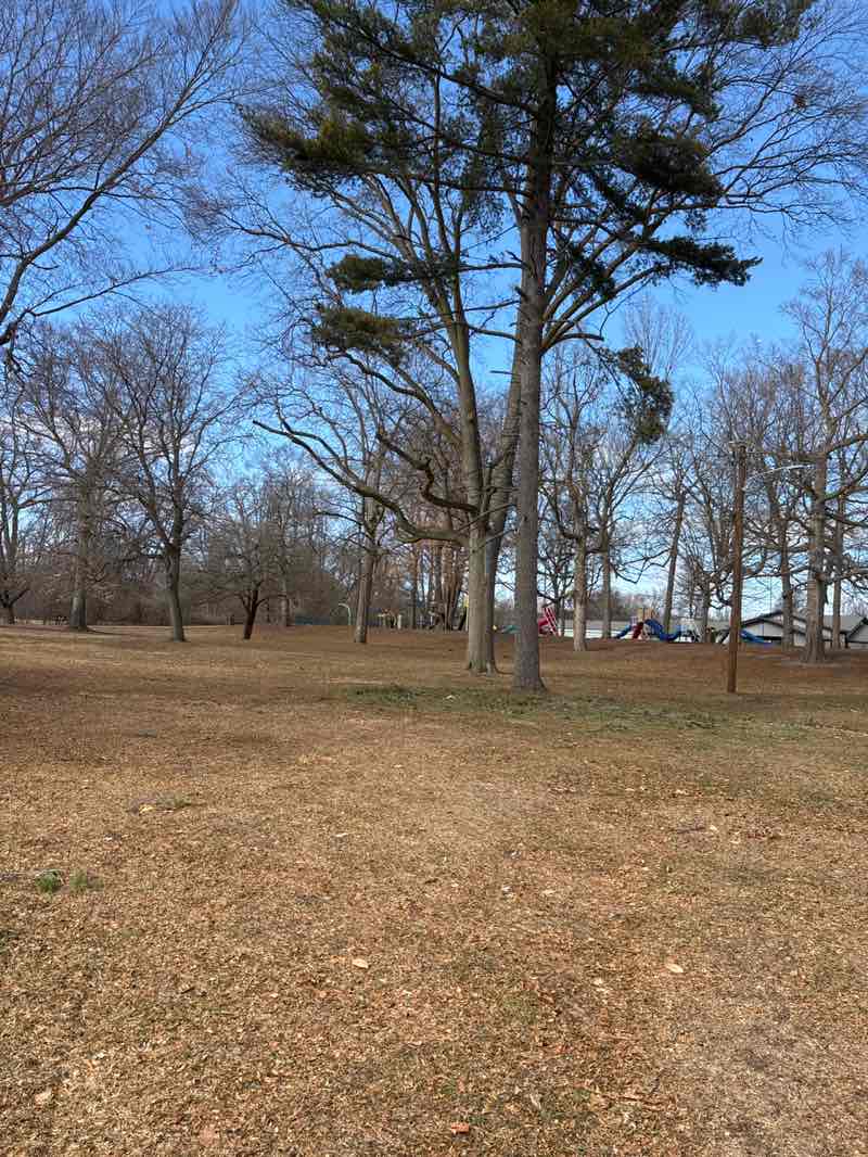walking near me in Island Park in winter