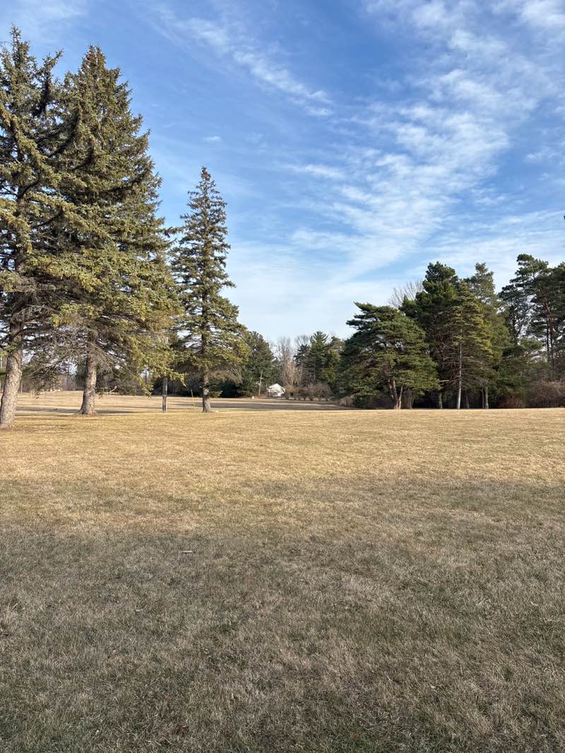 walking near me in Wheeler Park in spring